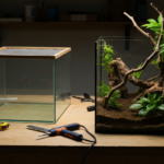 Jak zrobić terrarium z akwarium?